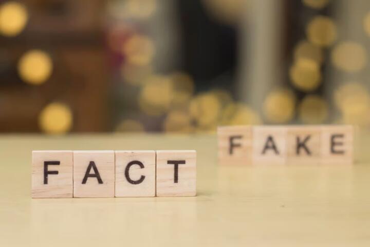 Fact-Checking Something an AI Told You