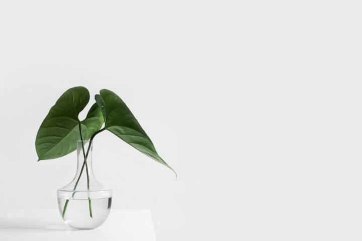 What Minimalism Means Beyond Owning Less Stuff